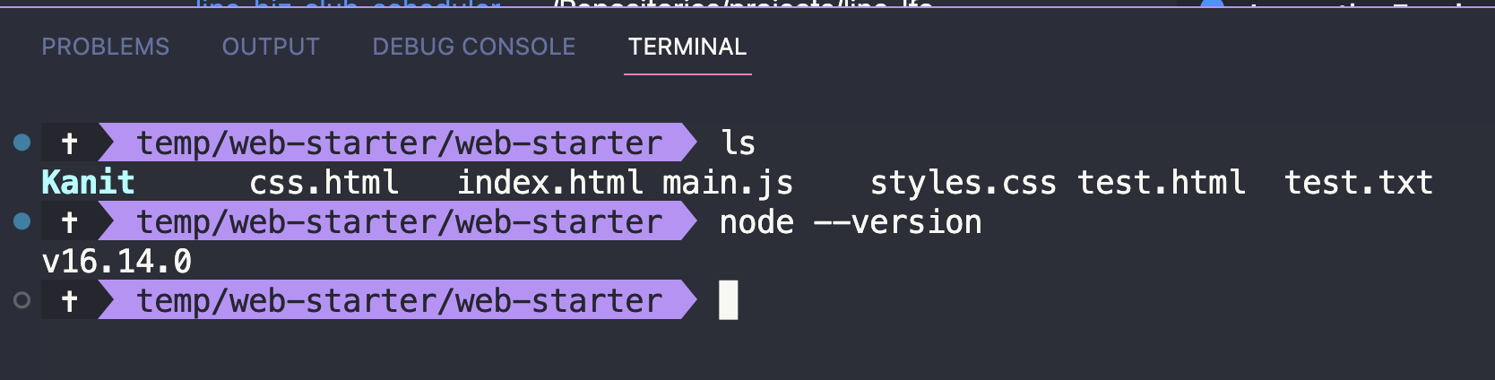 terminal-4