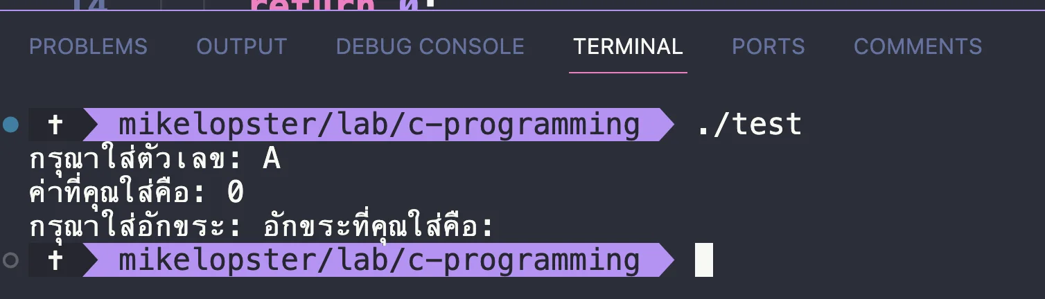 variable-03.webp